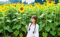 人成乱码一卡二卡三四卡无卡六卡